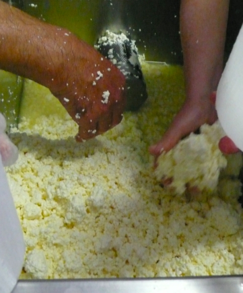 Making the cheese!